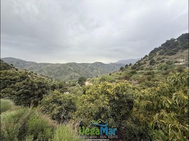 Terreny rústic en venda a Los Bañuelos