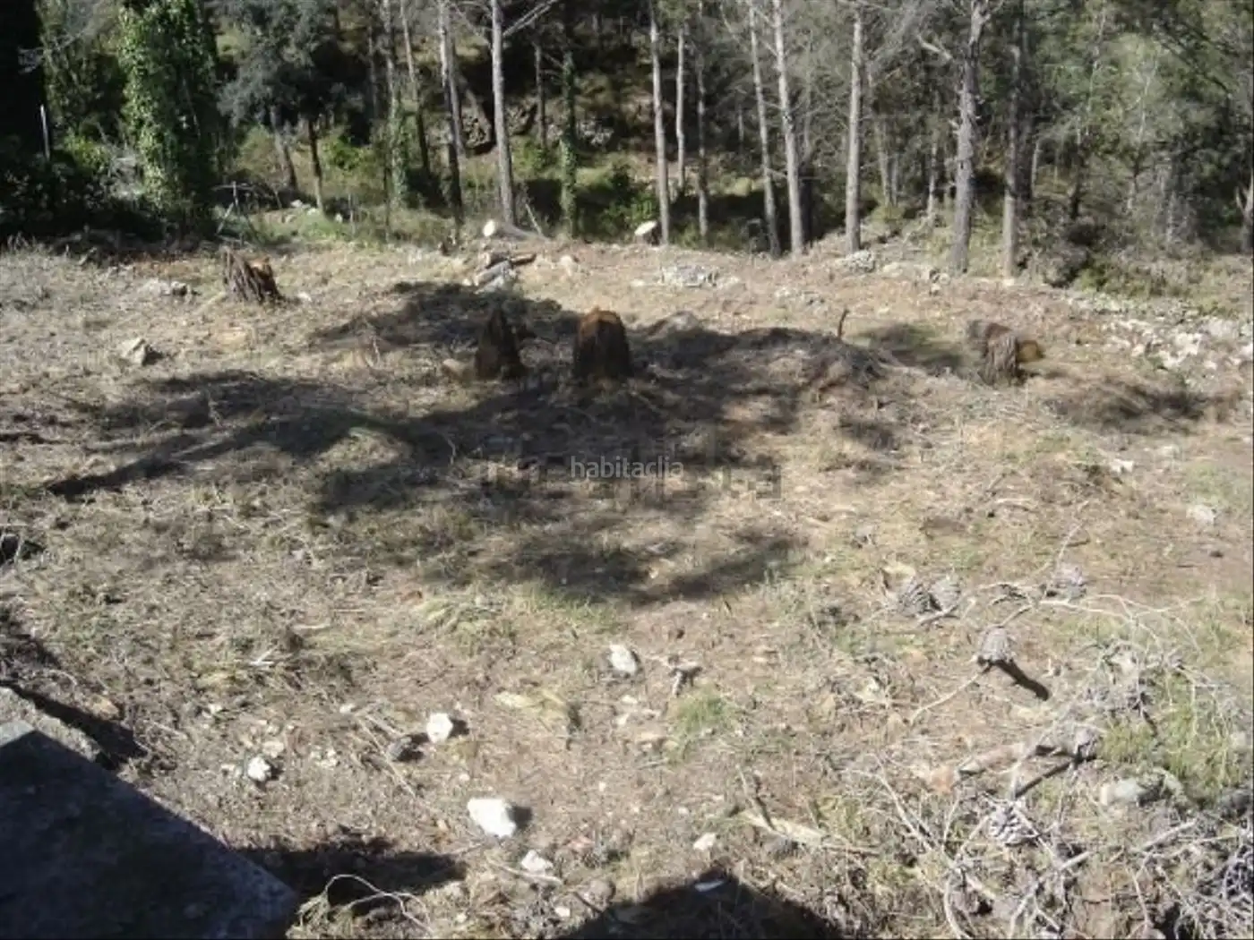 Wohnbaugrundstück zum Verkauf in Carrer Pensament 12, imagen 5