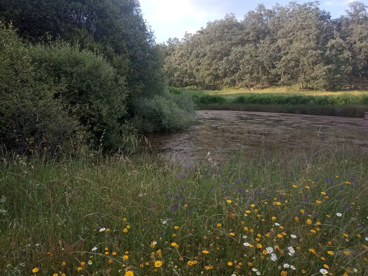 Terreni e lotti in vendita a Jarandilla de la Vera, imagen 18