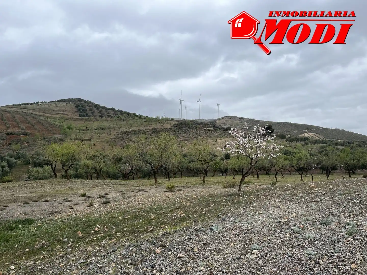 Residencial en venta en Albuñuelas