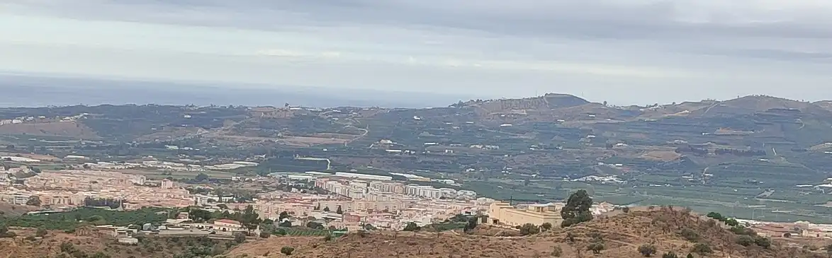 Vista exterior de Finca rústica en venta en Vélez-Málaga con Jardín privado, Terraza y Piscina