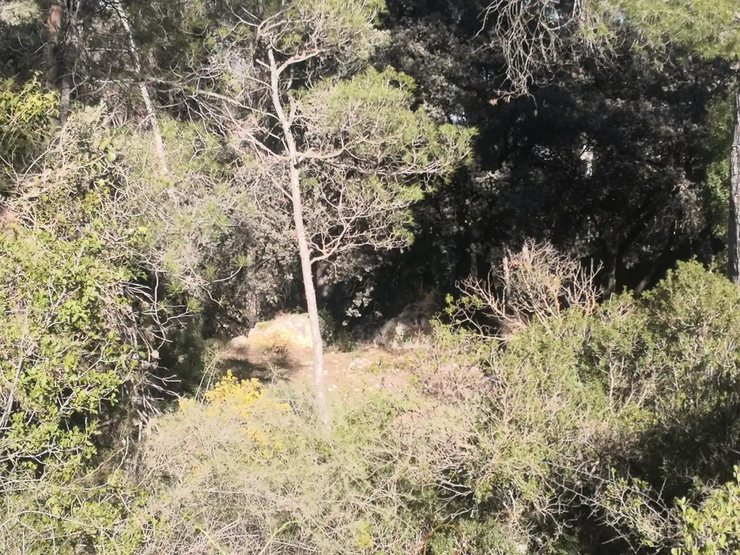 Jardí de Finca rústica en venda en Muro de Alcoy amb Jardí privat, Terrassa i Traster