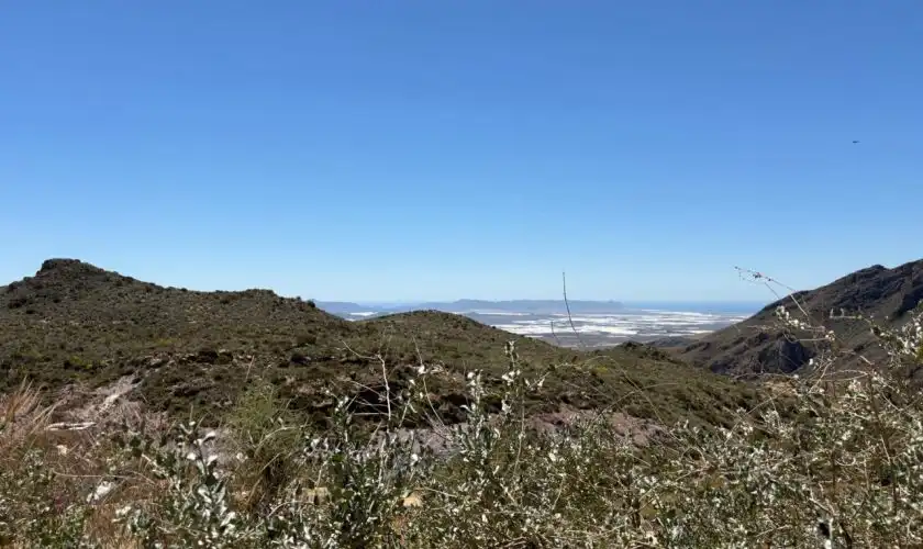 Terreny rústic en venda a Camino de Huebro, imagen 9