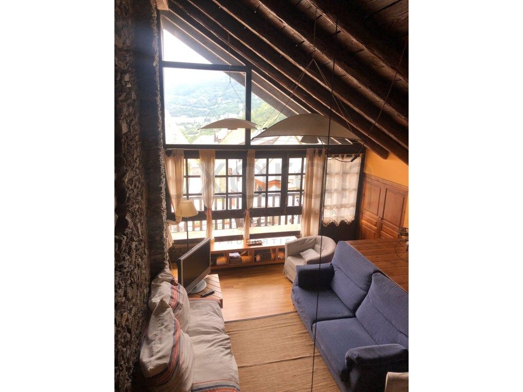 Sala de estar de Apartamento de alquiler en Vielha e Mijaran