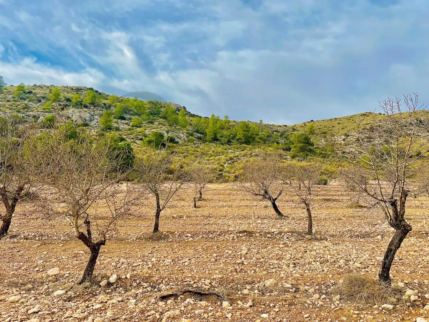 Residencial en venta en Villena