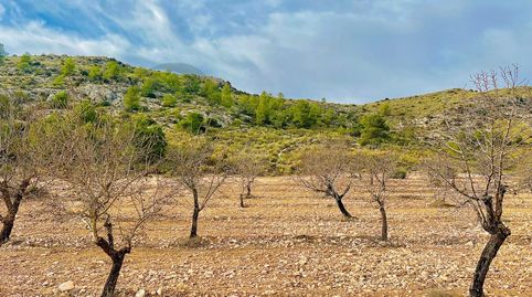 Foto 5 de Residencial en venta en Las Virtudes, Villena