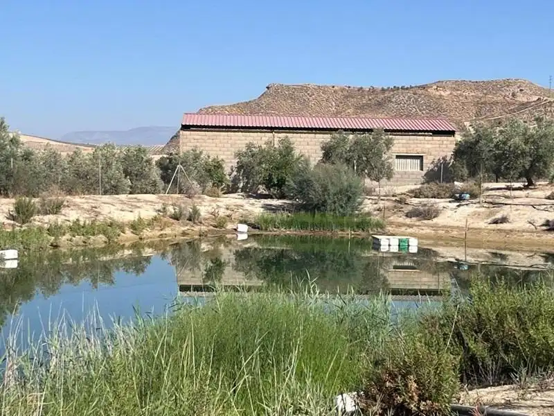 Casa rústica en venta en La Malahá, imagen 15