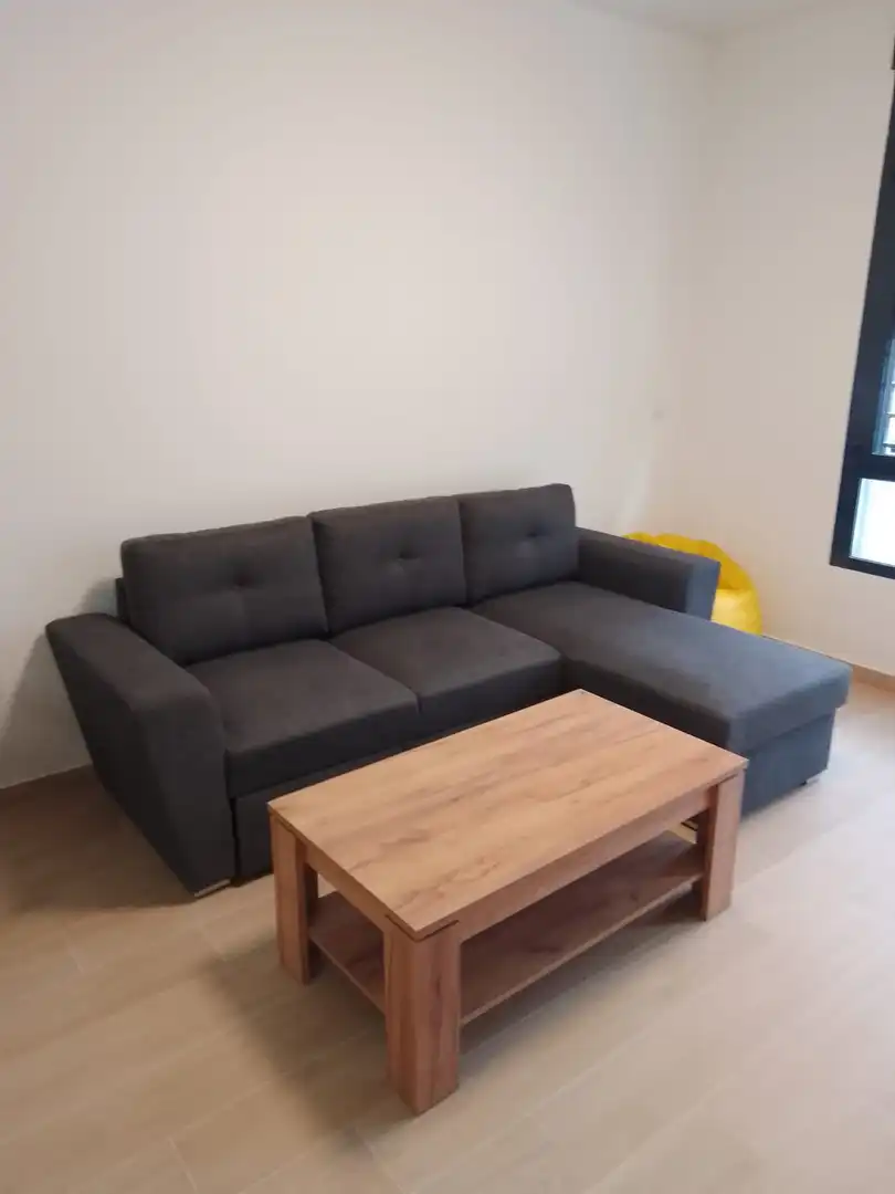 Sala de estar de Planta baja de alquiler en Elche / Elx con Aire acondicionado y Amueblado