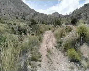 Terreno rustico in vendita a Paraje La Zarza, imagen 8