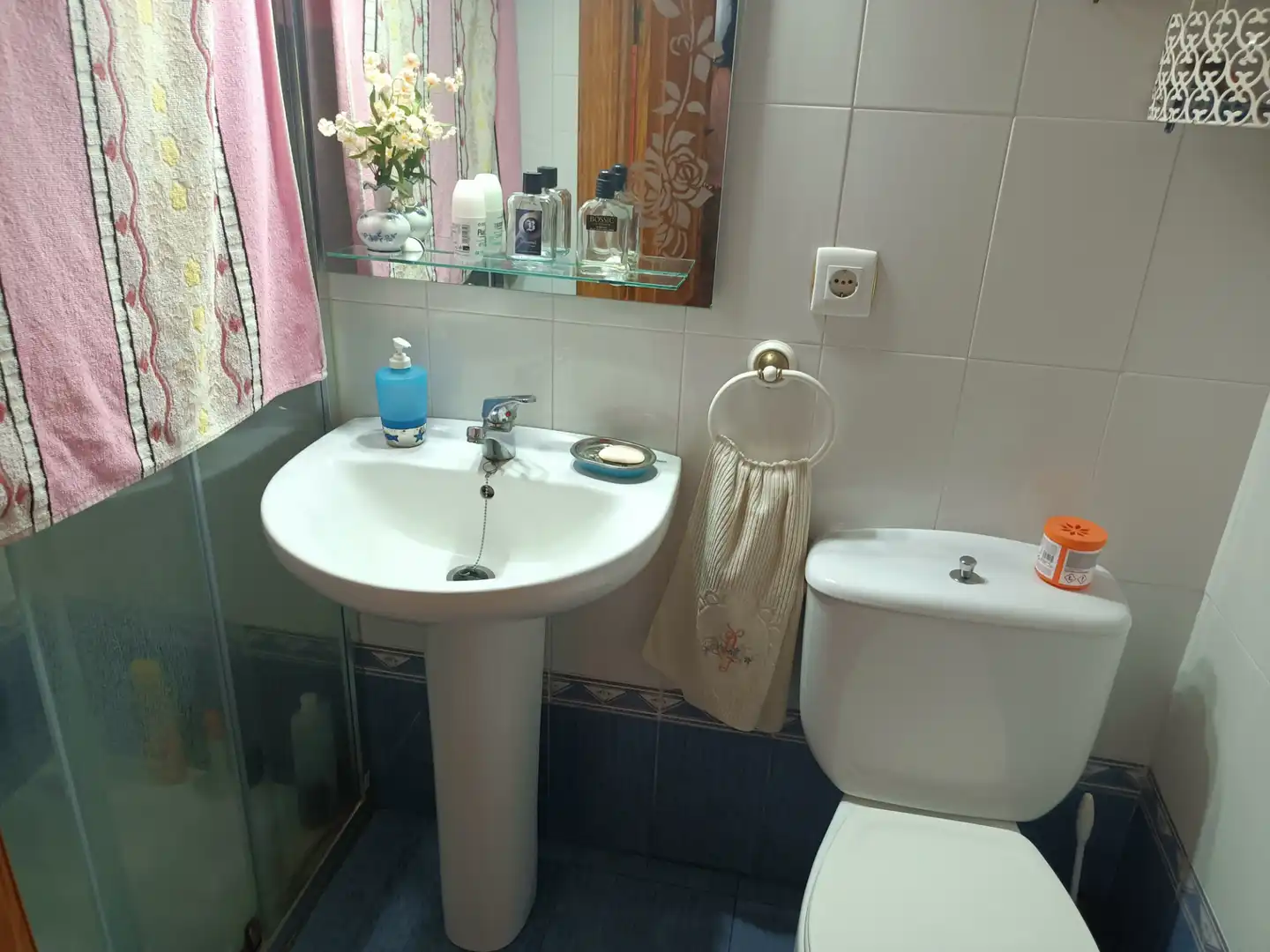 Bathroom of Houses for sale in Córdoba  with Air Conditioner, Private garden and Swimming Pool