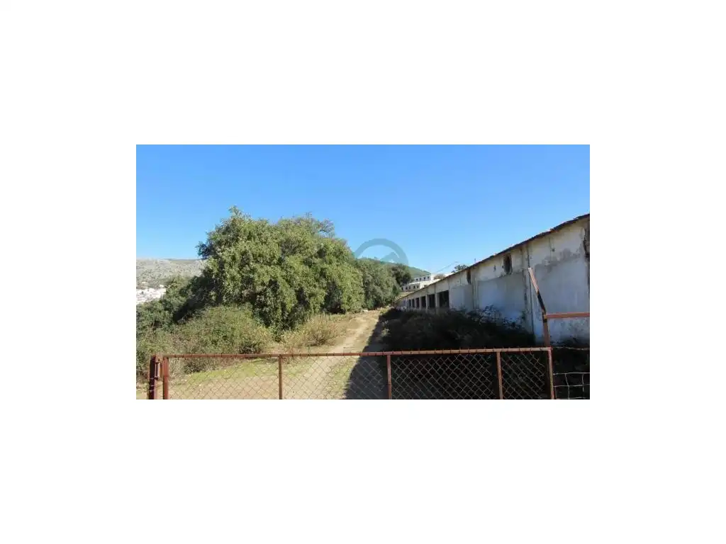 Exterior view of Houses for sale in Alpandeire