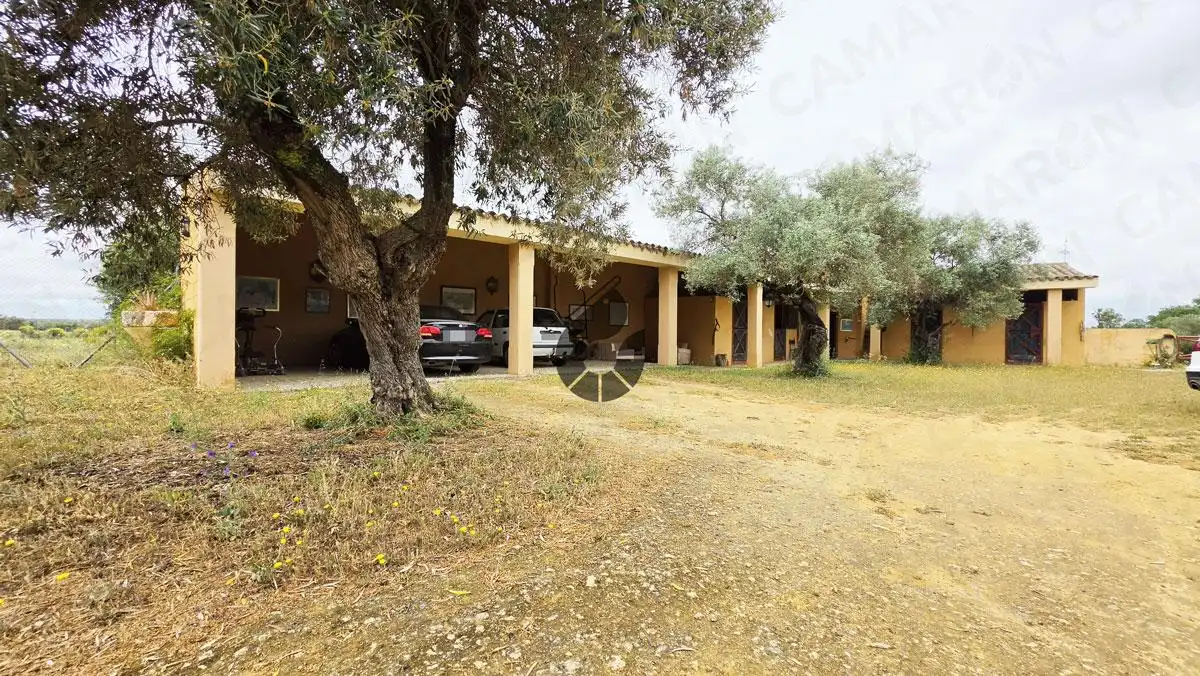 Vista exterior de Finca rústica en venta en Almensilla con Aire acondicionado y Jardín privado