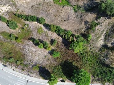 Terreni e lotti in vendita a Fogars de la Selva