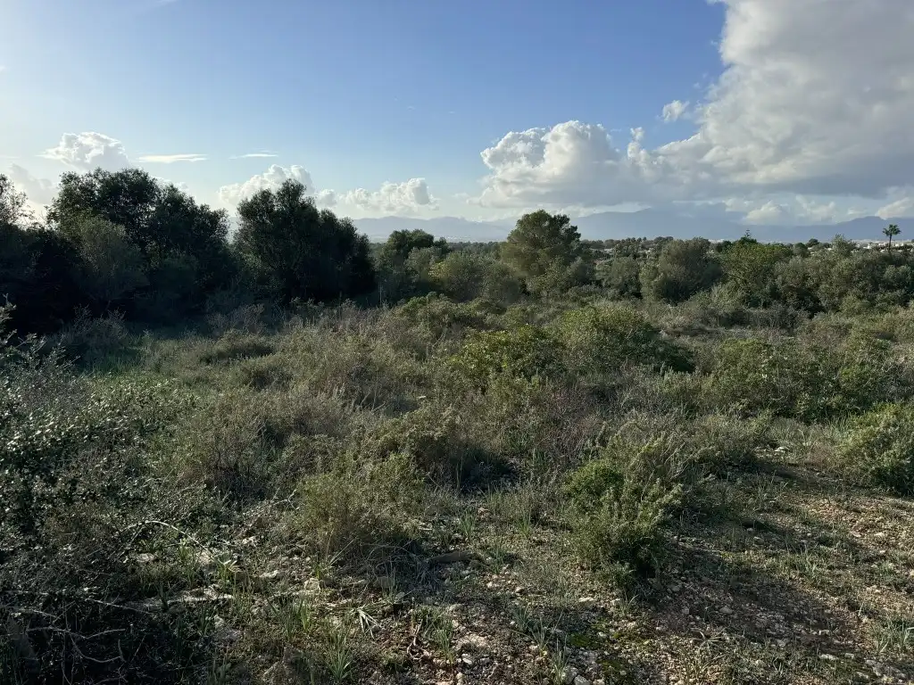 Terreny rústic en venda a Sa Cabaneta, imagen 6