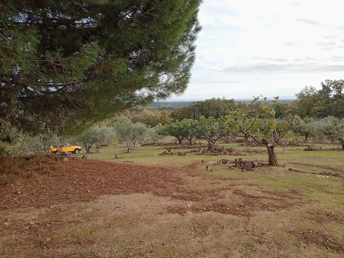 Terreni e lotti in vendita a Villanueva de la Vera, imagen 46