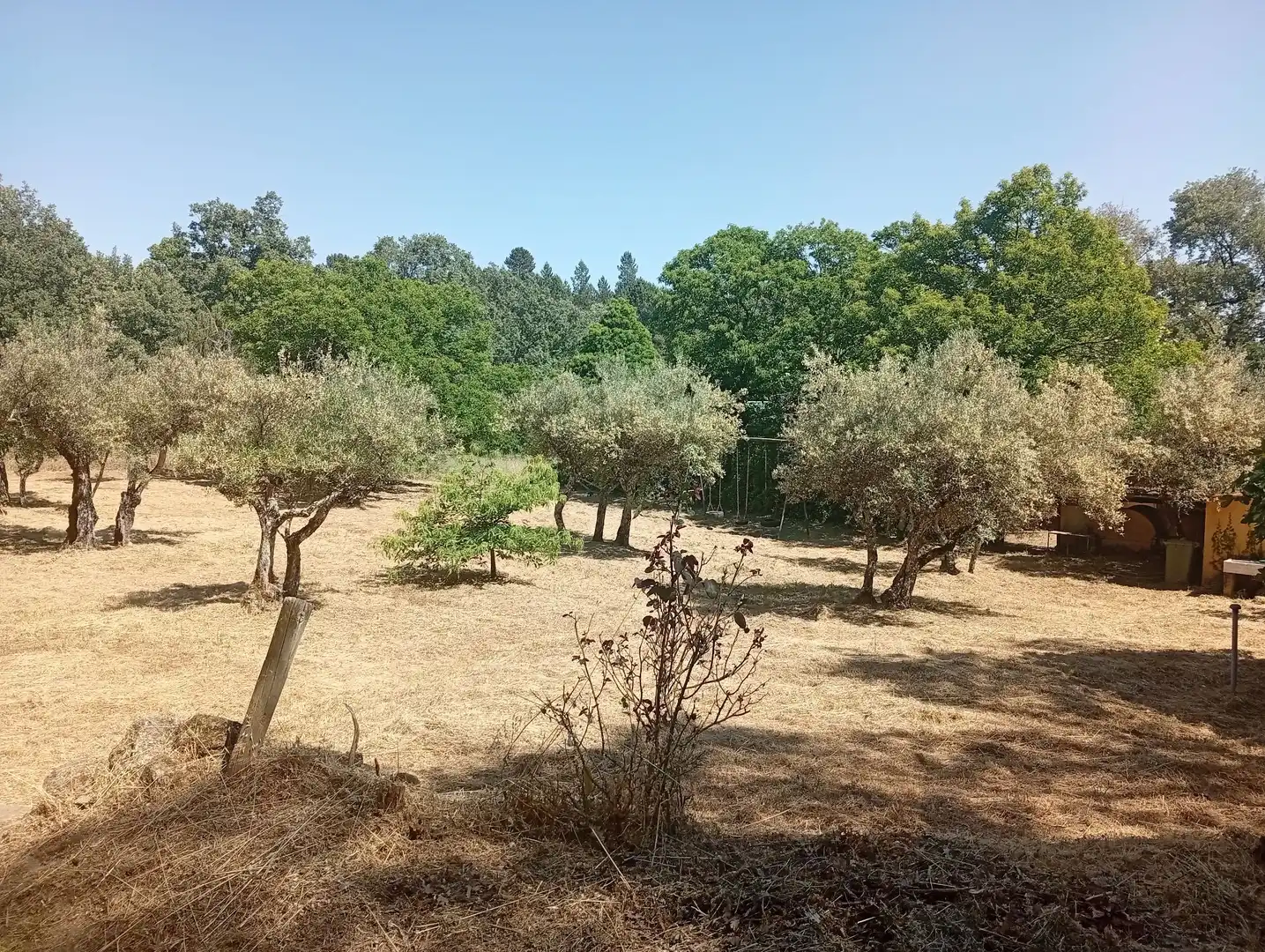 Terreni e lotti in vendita a Villanueva de la Vera, imagen 43