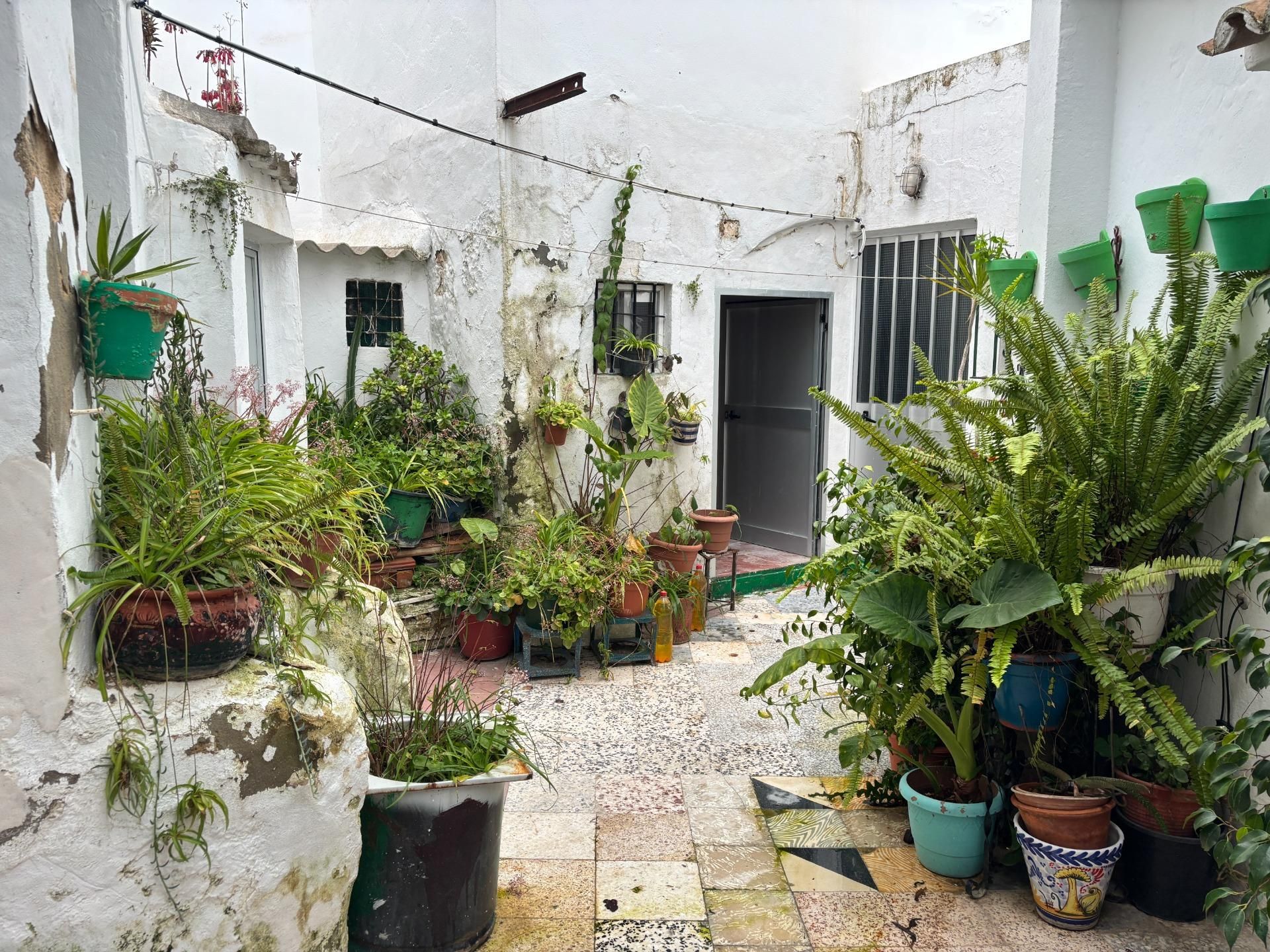 Jardí de Casa o xalet en venda en Vejer de la Frontera