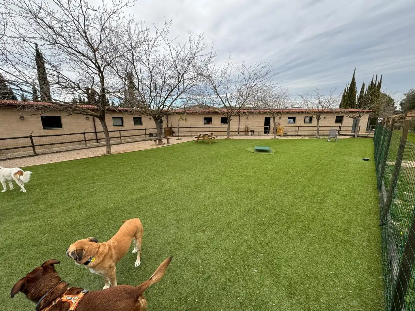 Jardín de Terreno en venta en Abrera