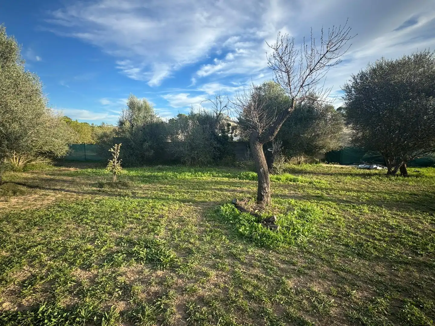 Country house with garden for sale in Son Amonda - Reis Catòlics, imagen 22