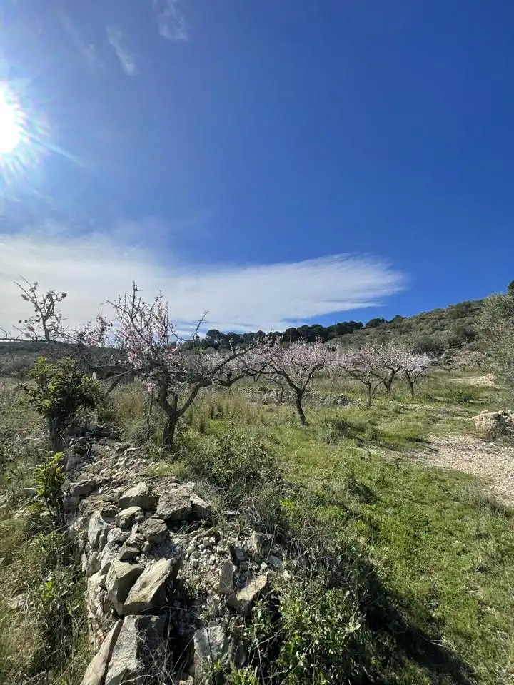 Finca rústica en venta en L'Ametlla de Mar 