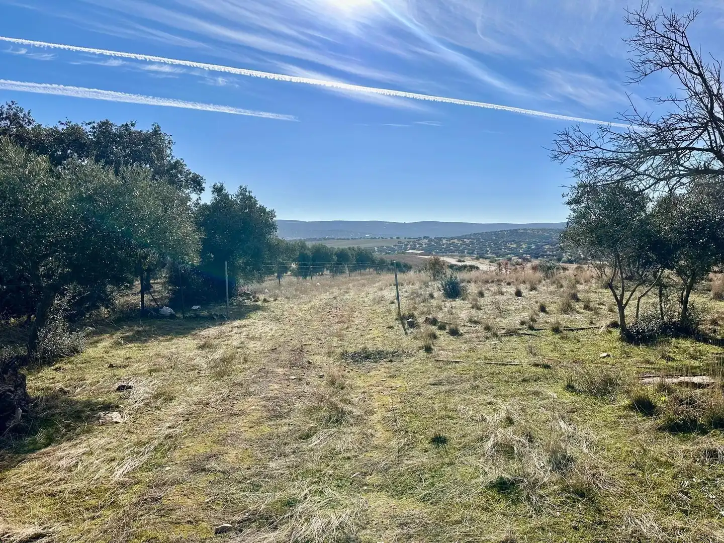 Rural land for sale in Fuente Obejuna, imagen 19