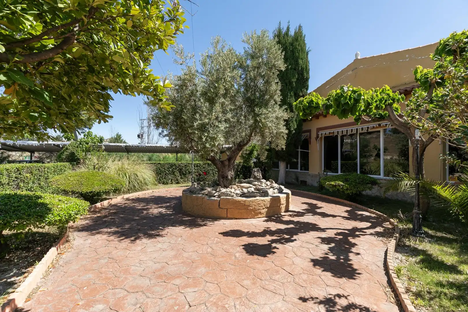 Local commercial à vendre à Castilléjar, imagen 33