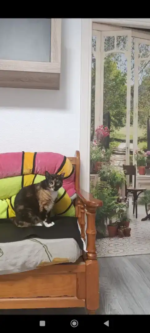 Sala de estar de Piso en venta en Murcia con Aire acondicionado, Jardín privado y Parquet