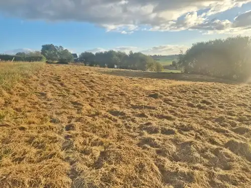 Terrain rustique à vendre à Barrio Alto San Pantaleón 215E, imagen 6