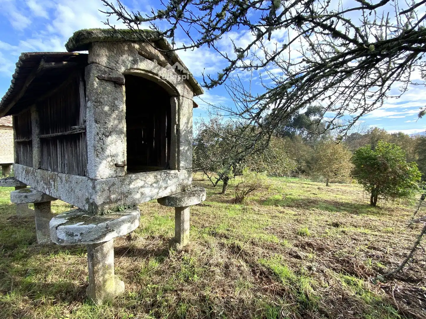Maison à vendre à Crecente, imagen 33