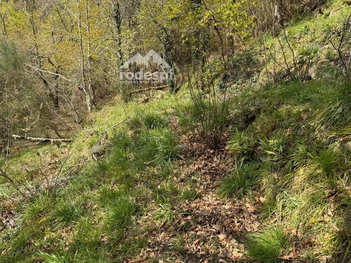 Rural land for sale in Arbo, imagen 7