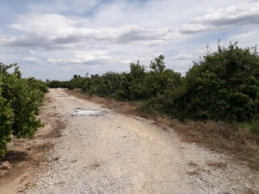 Terrain rustique à vendre à REALENGO, imagen 3
