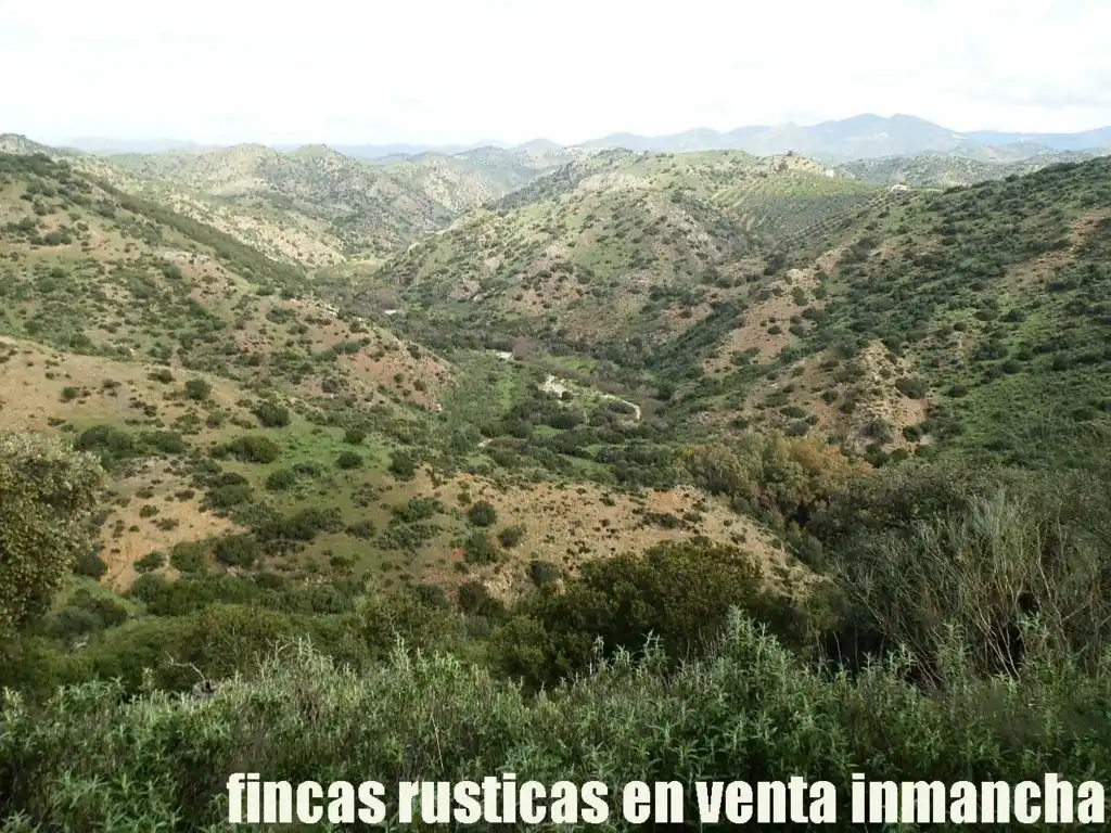 Terreno rustico in vendita a Algodonales, imagen 6