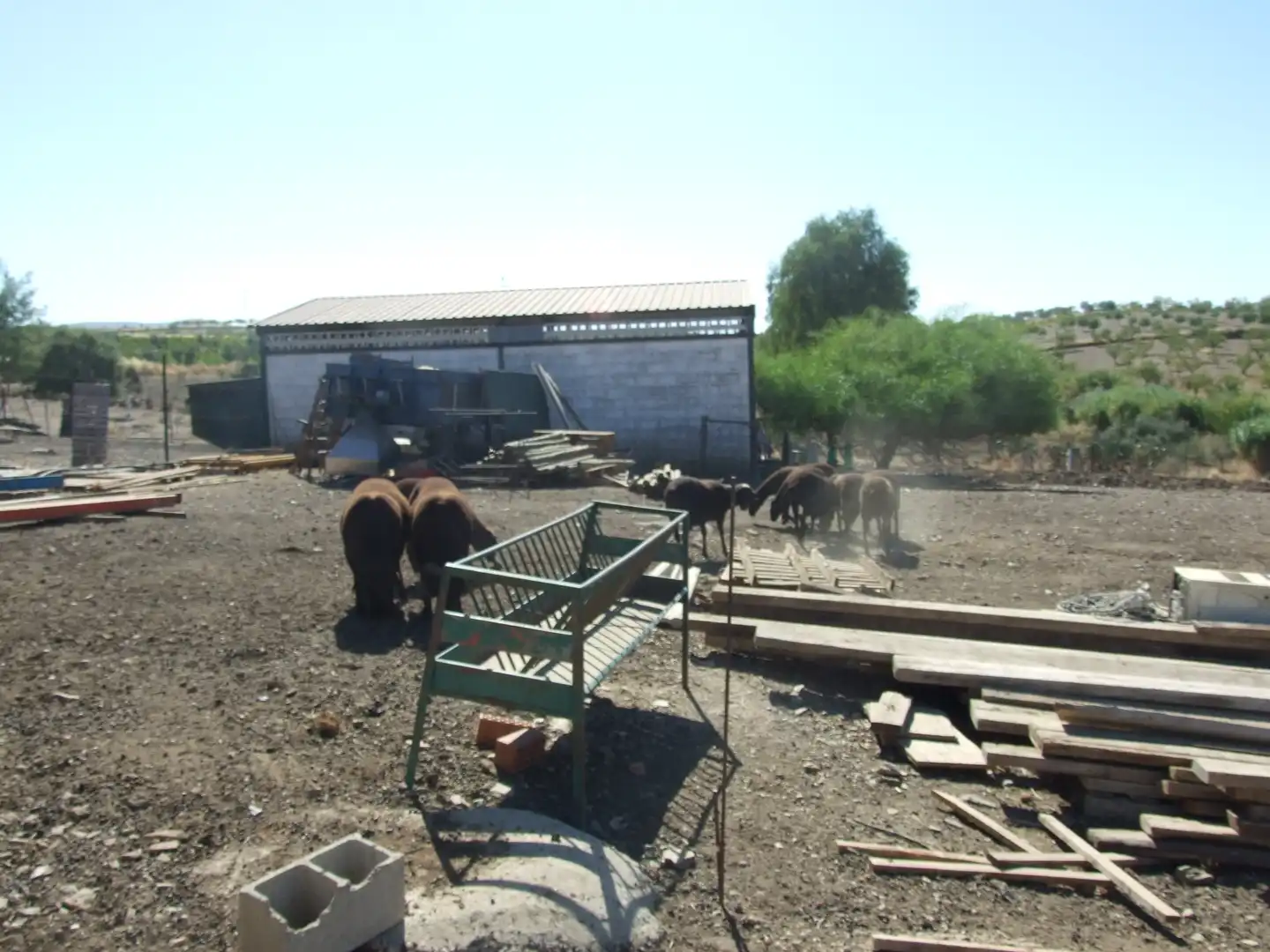 Terreno rustico in vendita a Carretera Fuente del Maestre-Huerta Julián 44, imagen 6