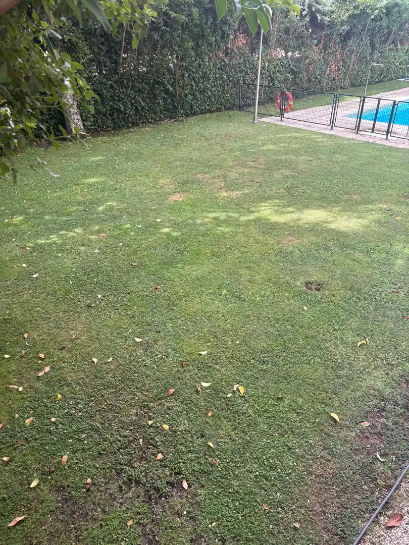 Jardí de Estudi de lloguer en Madrid amb Calefacció, Rentadora i Microones