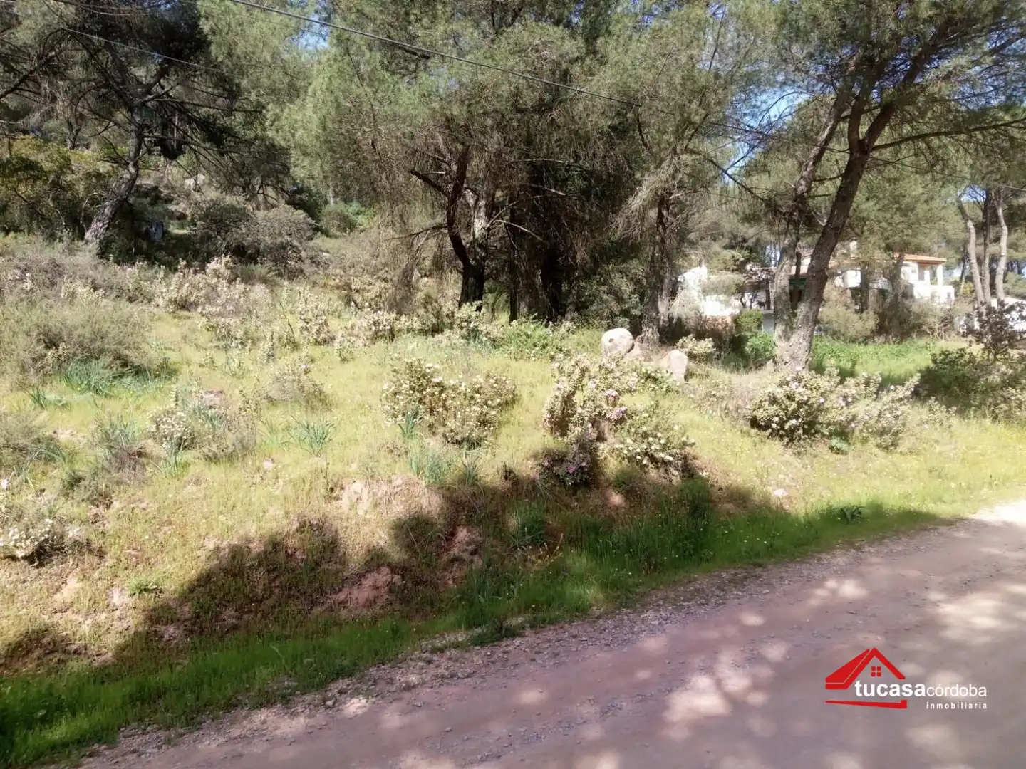 Terreny residencial en venda a Periurbano Oeste - Sierra, imagen 4