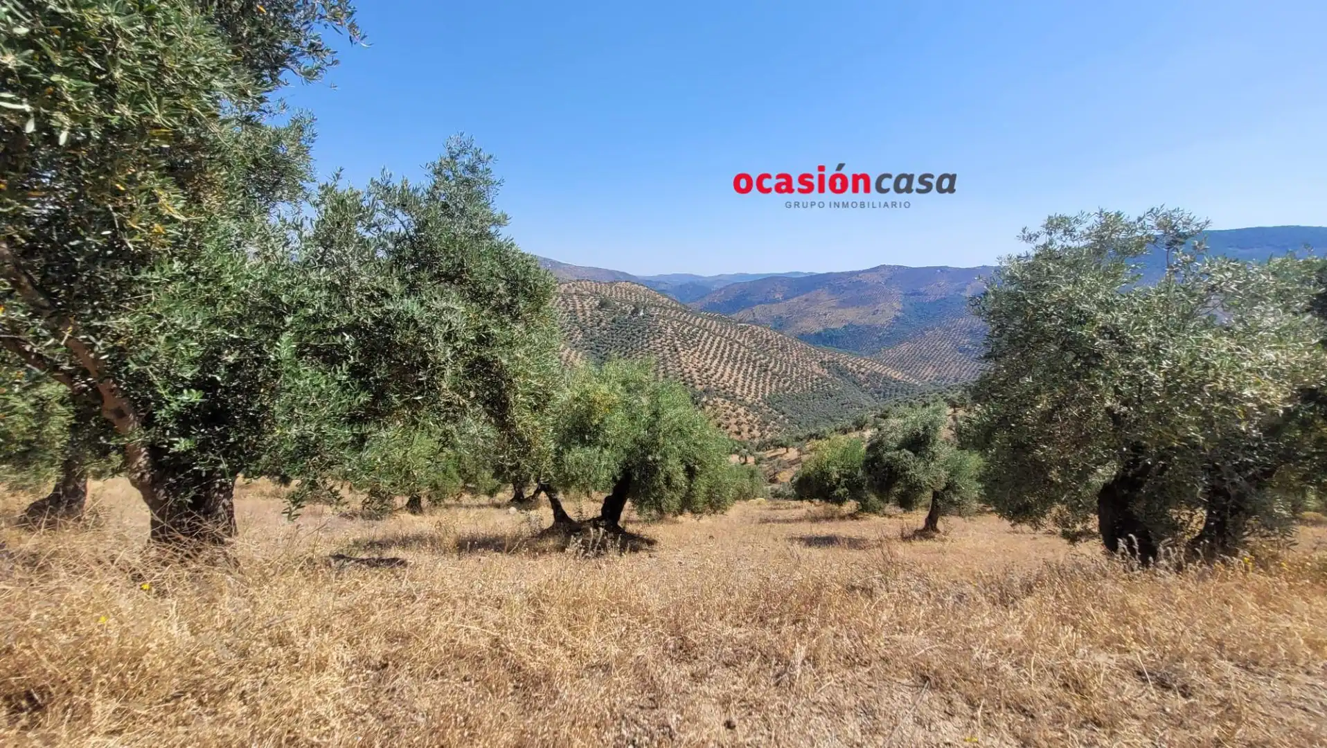 Finca rústica en venda en Pozoblanco amb Traster
