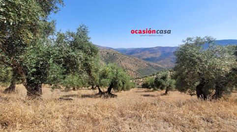 Photo 3 of Country house for sale in Pozoblanco, Córdoba