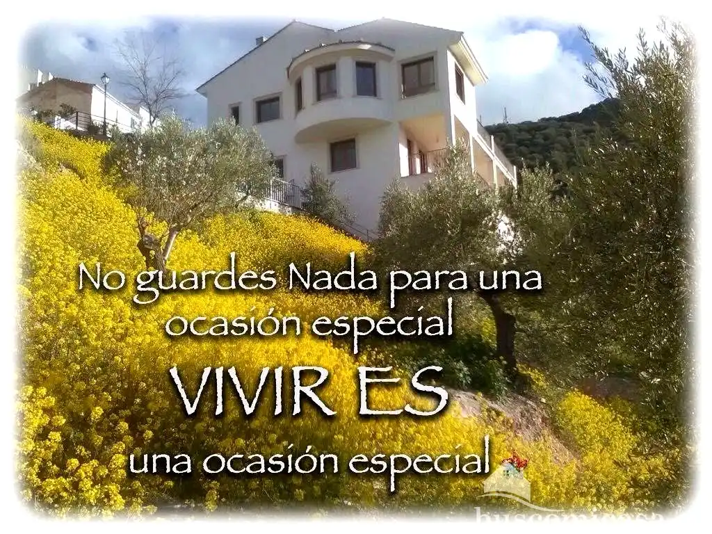 Jardí de Casa o xalet en venda en Huelma amb Aire condicionat, Calefacció i Jardí privat