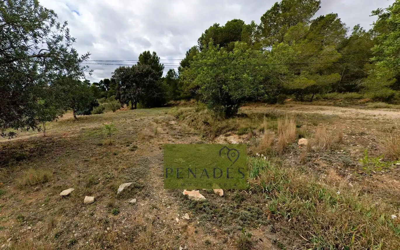 Terreno residencial en venta en El Pilar, imagen 3