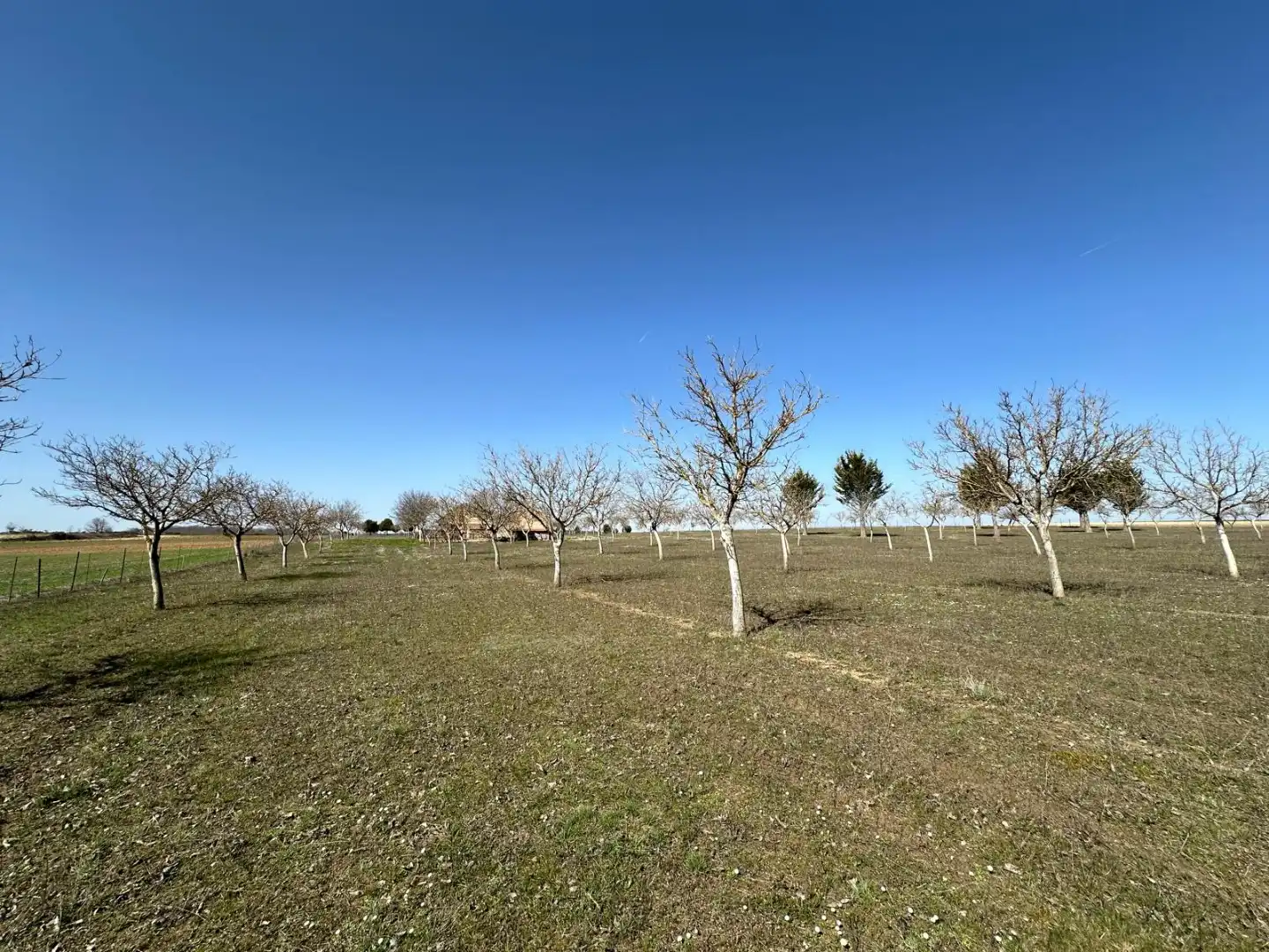 Houses for sale in Arlanzón  with Private garden