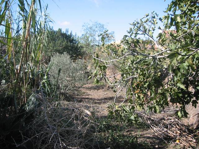 Finca rústica en Venta en Campo Nubla