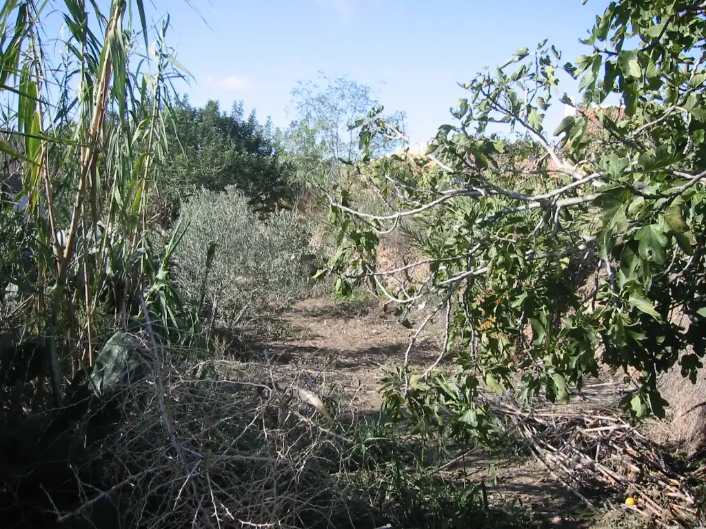 Casa rústica amb jardí en venda a Pedanías Oeste