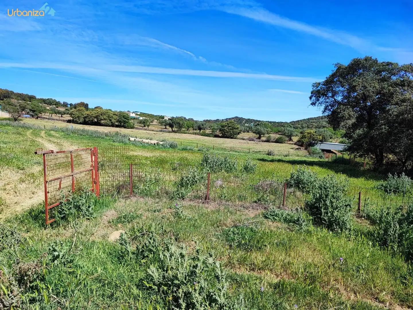 Land for sale in Salvaleón