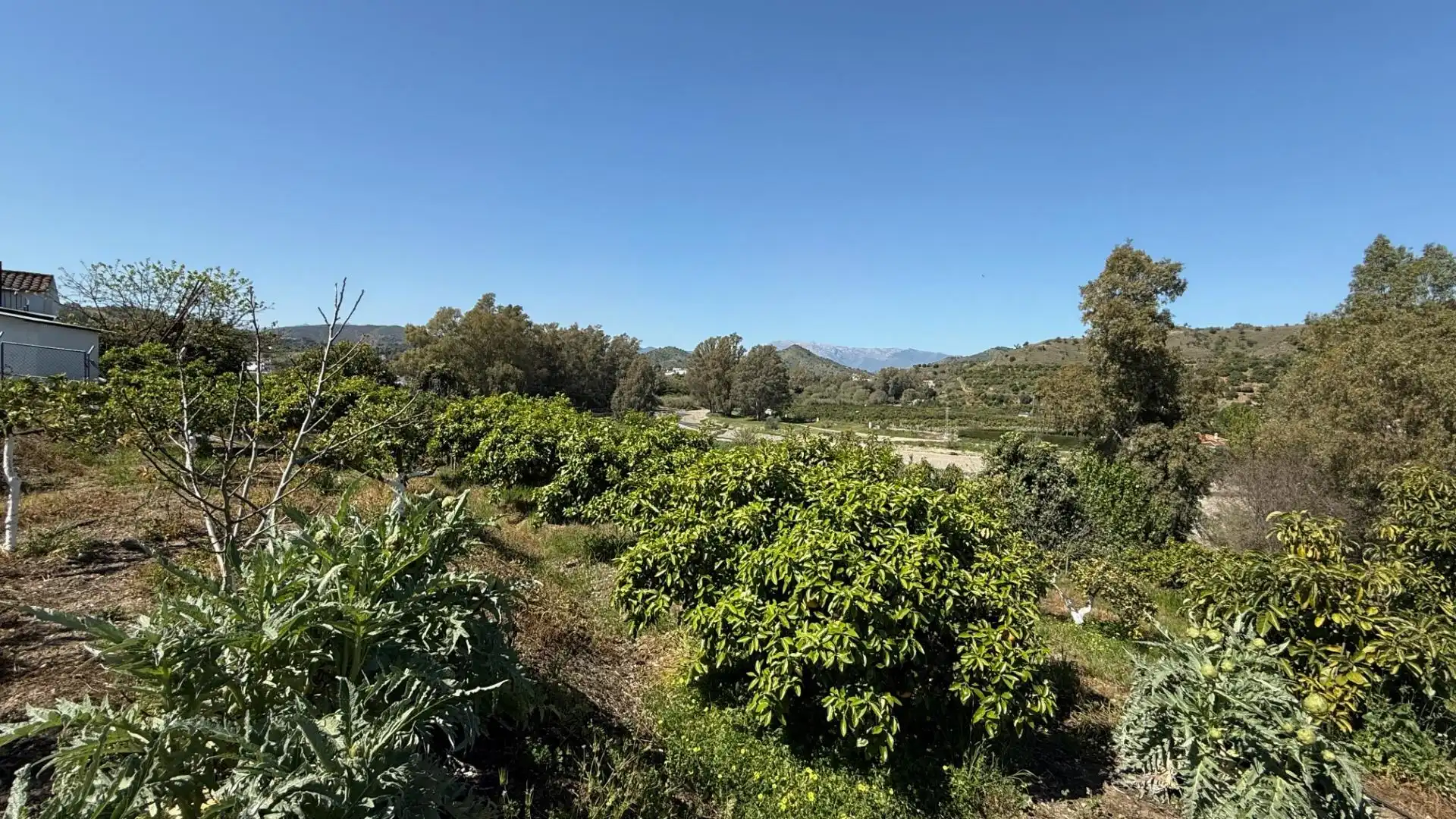 Casa rústica amb piscina en venda a Calle CORTIJO BENITEZ, imagen 31
