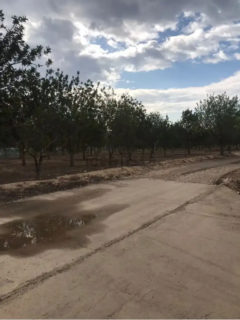 Finca rústica en venda a Carretera de Castellet, 114, L'Arboç
