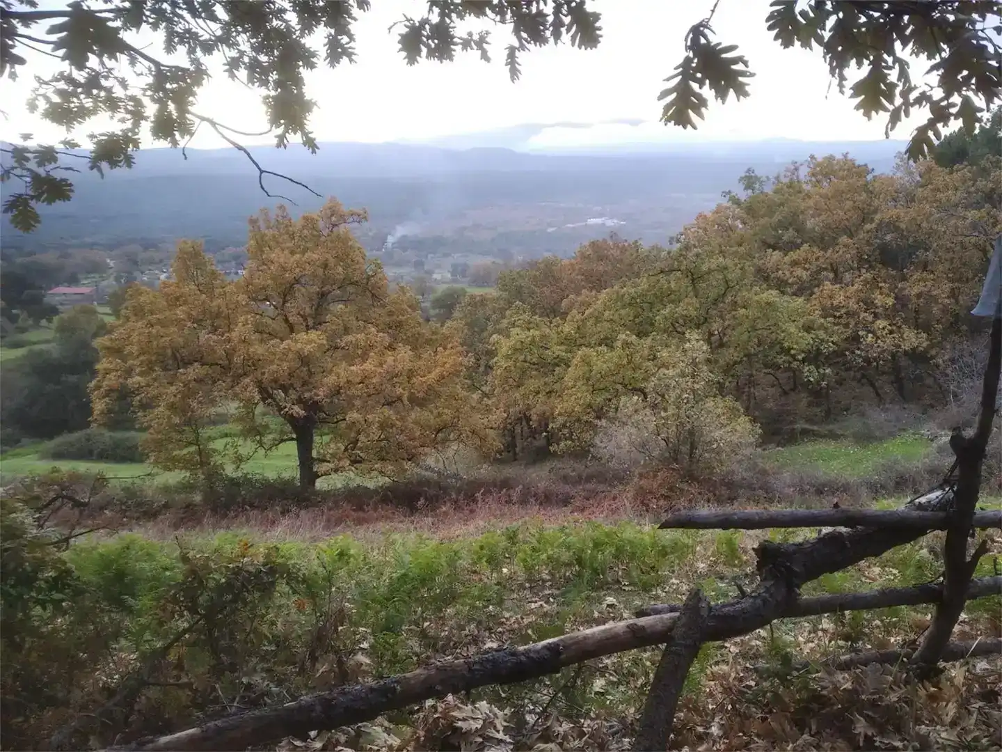 Pis en venda en Piedralaves amb Jardí privat