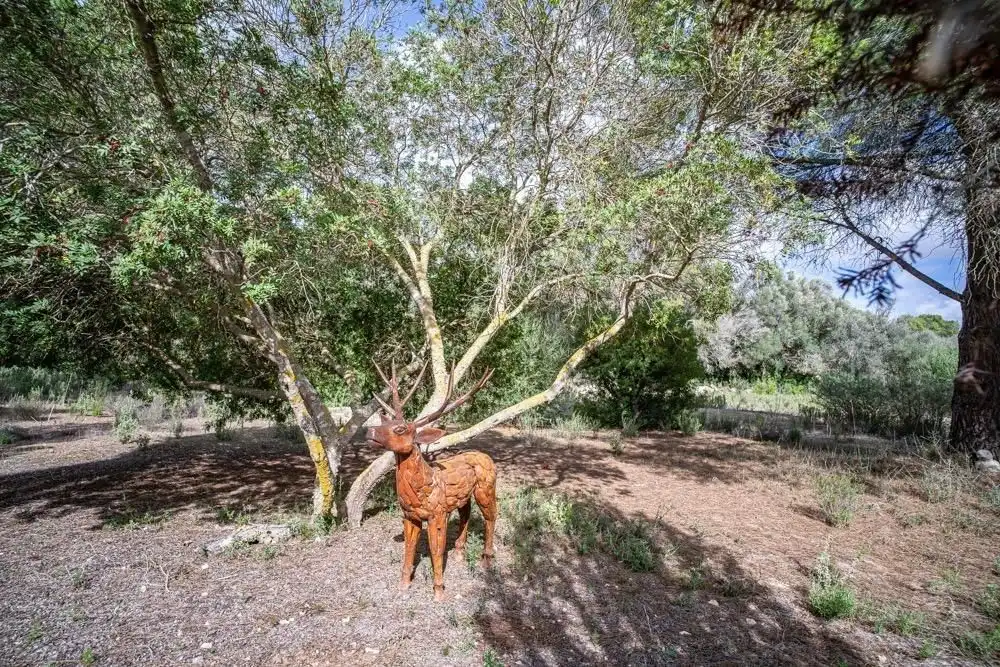 Jardín de Finca rústica en venta en Algaida con Aire acondicionado, Calefacción y Jardín privado
