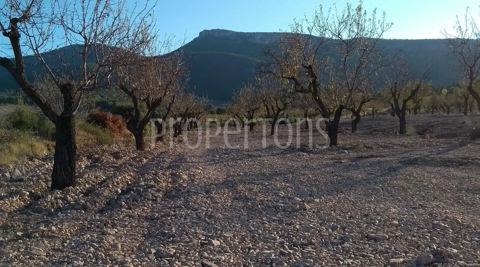 Terrenys i solars en venda a Castalla, imagen 5