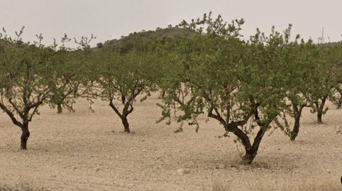 Terreno en venta en Tobarra., immagine 3