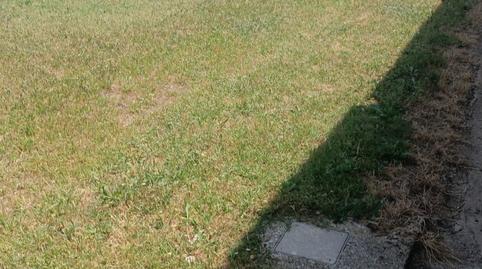 Photo 5 of House or chalet for sale in Camino Viejo de Entrena, La Cava - Fardachón, La Rioja